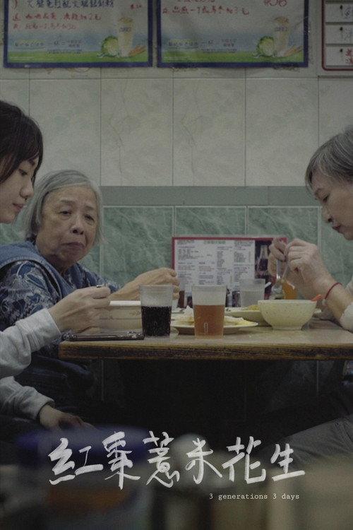 3 Generations 3 Days 2019 official movie poster