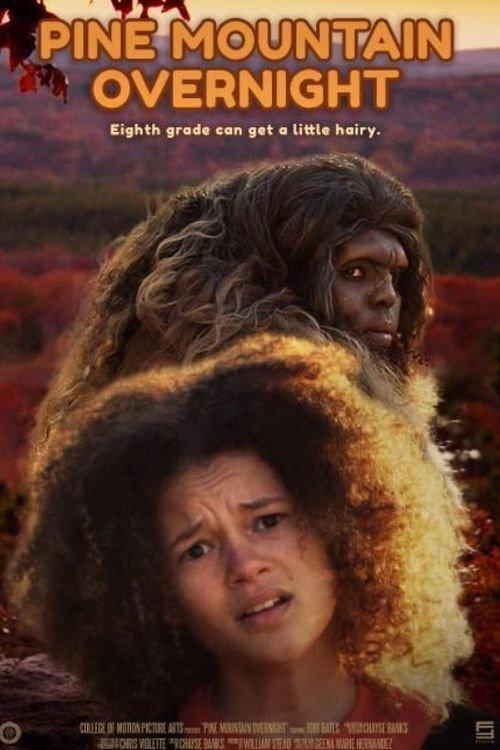 Pine Mountain Overnight 2020 official movie poster