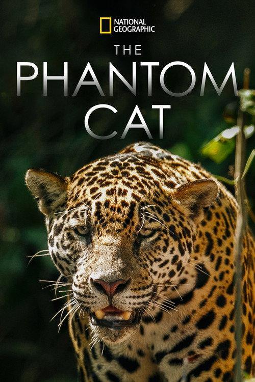 The Phantom Cat 2011 official movie poster