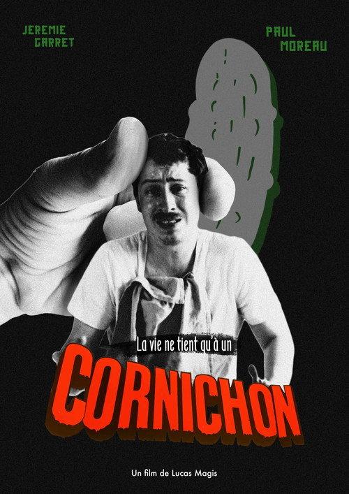 La vie ne tient qu'à un Cornichon 2025 official movie poster