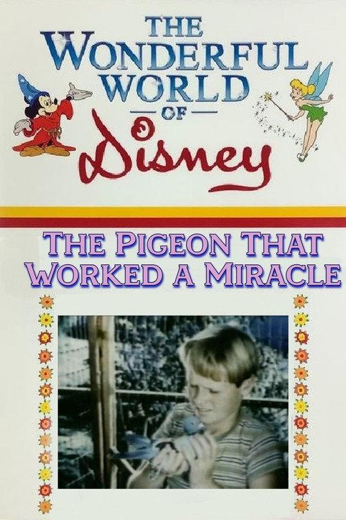 The Pigeon That Worked a Miracle 1958 official movie poster