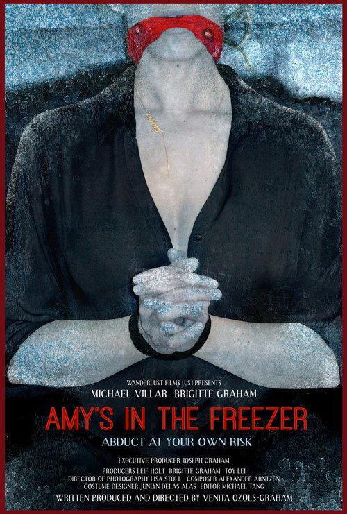 Amy's in the Freezer 2018 official movie poster