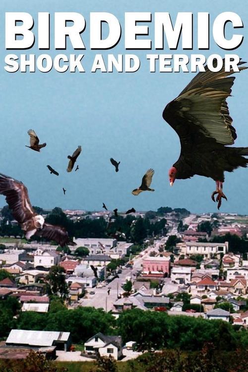 Birdemic: Shock and Terror 2010 official movie poster