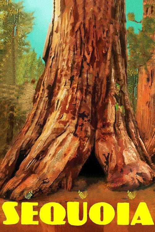 Sequoia 2014 official movie poster