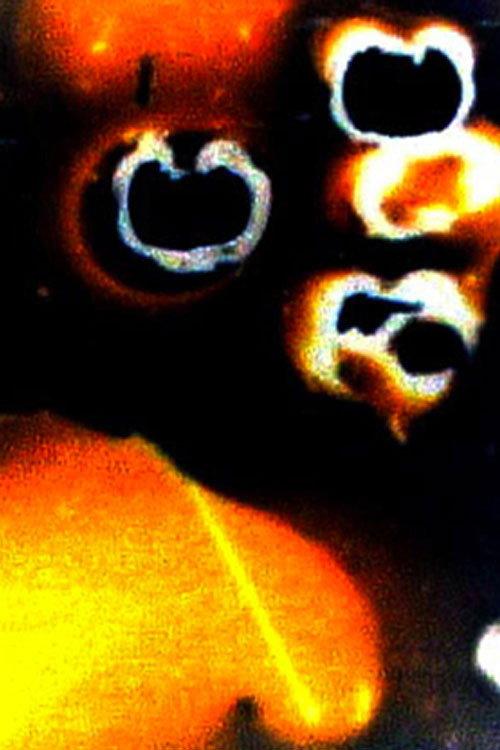 Fartasia 2002 official movie poster