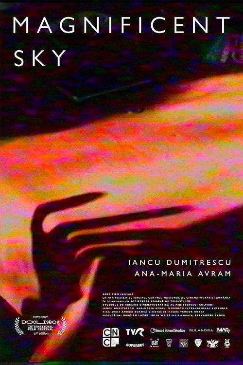Magnificent Sky 2023 official movie poster
