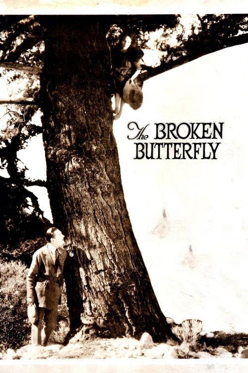 The Broken Butterfly 1919 official movie poster