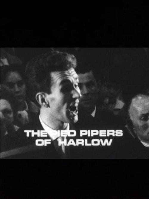 The Pied Pipers of Harlow 1965 official movie poster