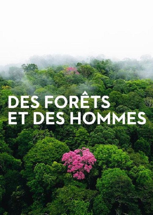 Forests and People 2011 official movie poster