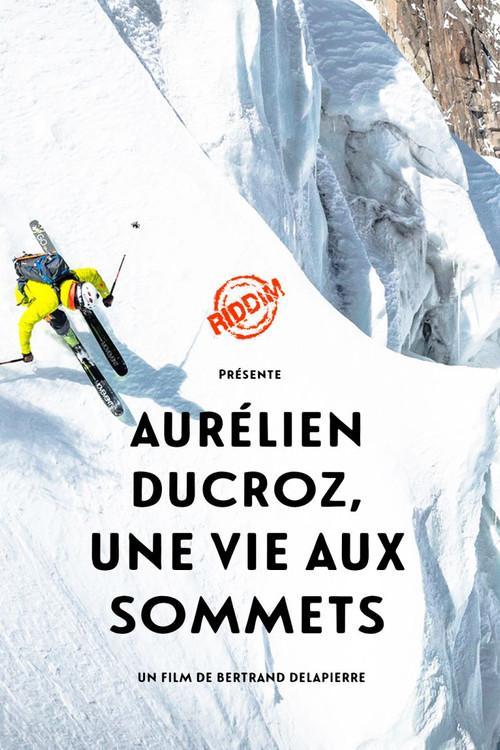 Une Vie aux Sommets 2020 official movie poster