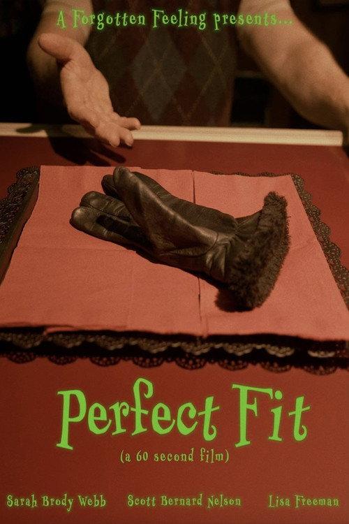 Perfect Fit 2025 official movie poster