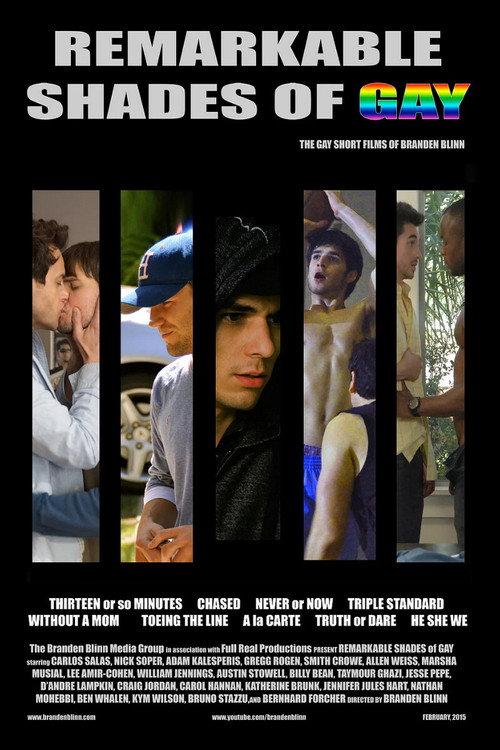 Remarkable Shades of Gay 2015 official movie poster