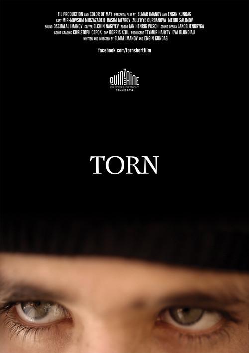 Torn 2014 official movie poster
