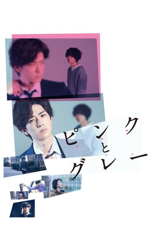 Pink and Gray 2016 official movie poster