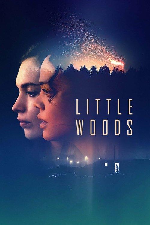 Little Woods 2019 official movie poster