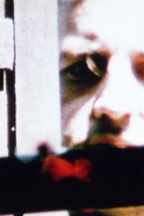 Excerpt From THE SKY SOCIALIST Stratified 2009 official movie poster
