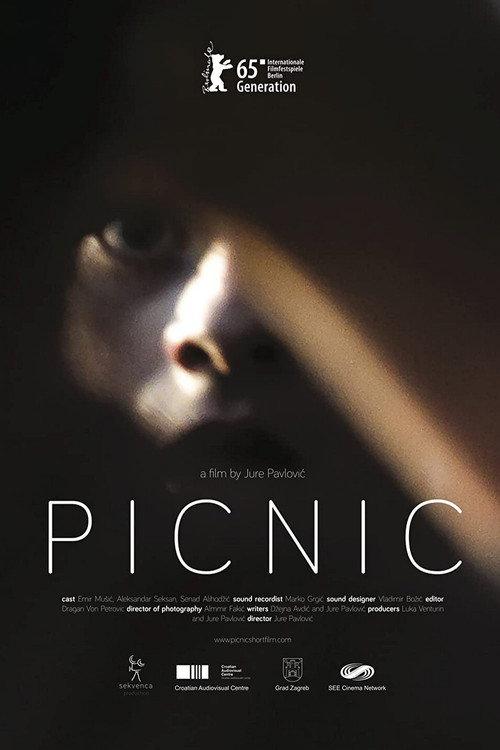 Picnic 2015 official movie poster