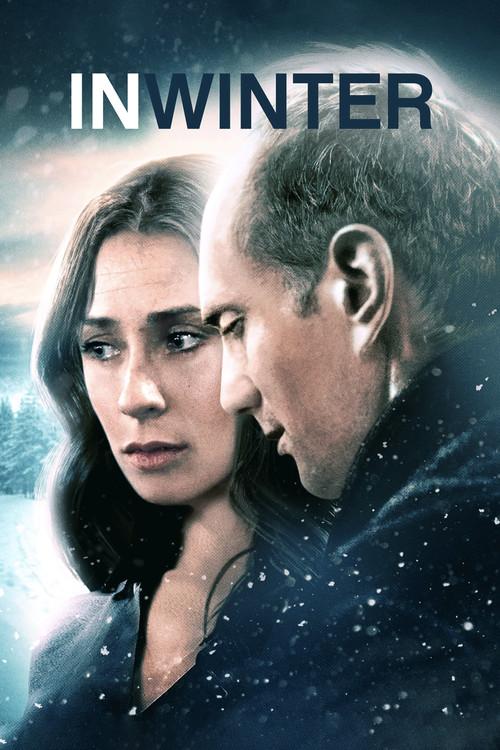 In Winter 2017 official movie poster