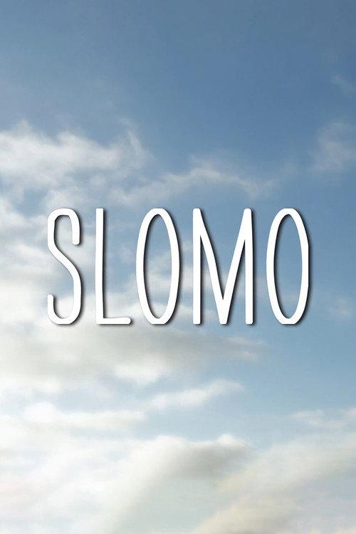 Slomo 2013 official movie poster