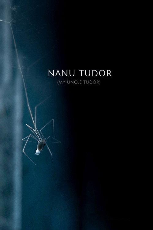 My Uncle Tudor 2021 official movie poster
