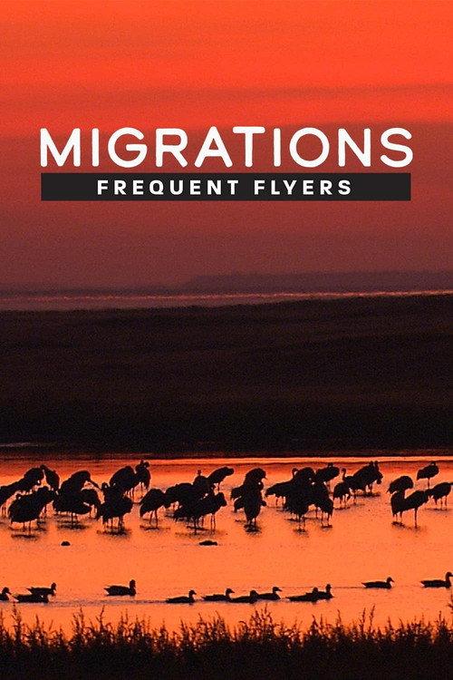 Migrations: Frequent Flyers 2020 official movie poster