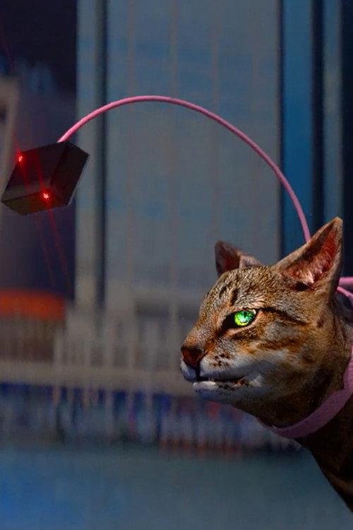 Catwalker and the Catwalker’s Intern 2018 official movie poster
