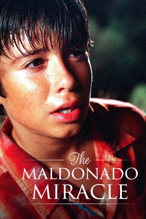 The Maldonado Miracle 2003 official movie poster