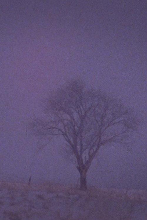 Tree Over the Valley, Eaton 1974 official movie poster