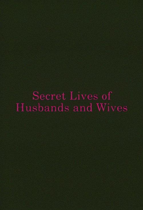 Secret Lives of Husbands and Wives 2013 official movie poster