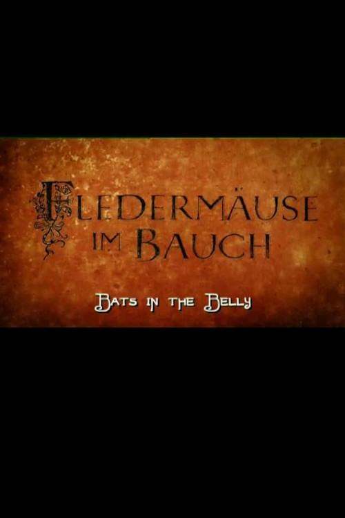 Bats in the Belly 2004 official movie poster