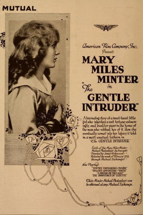 The Gentle Intruder 1917 official movie poster