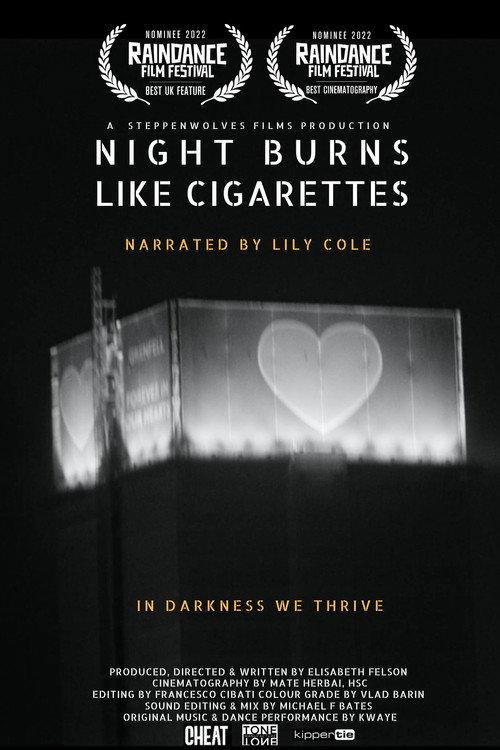 Night Burns Like Cigarettes 2022 official movie poster