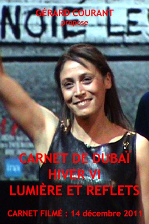 Dubai Winter Diary VI: Light and Reflections 2012 official movie poster