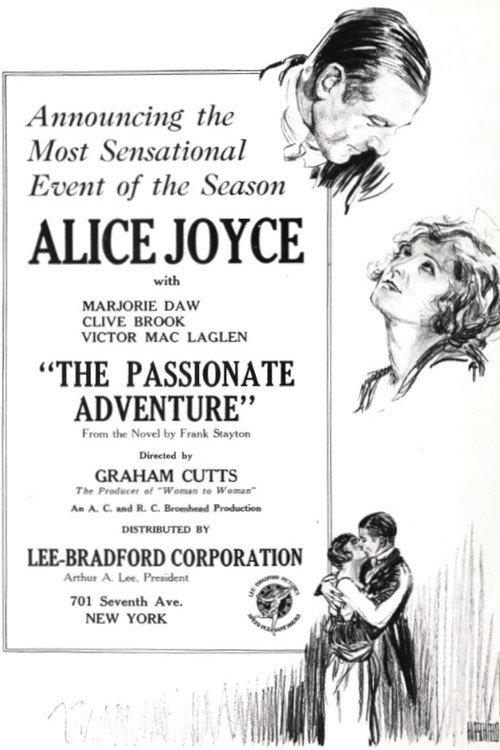 The Passionate Adventure 1924 official movie poster