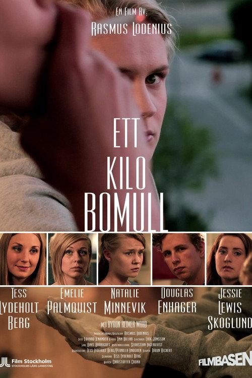 Ett kilo bomull 2013 official movie poster