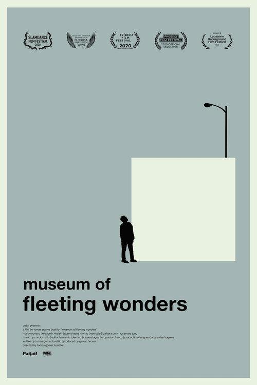Museum of Fleeting Wonders 2020 official movie poster