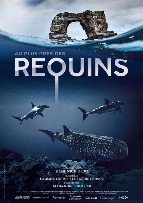For the Love of Sharks 2022 official movie poster