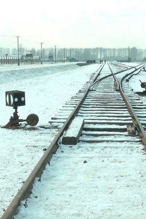 19 876 Steps in Auschwitz / Birkenau 2017 official movie poster