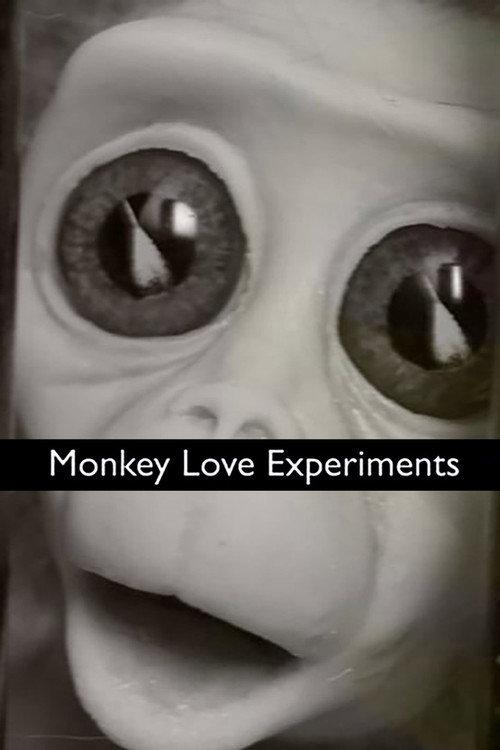Monkey Love Experiments 2014 official movie poster