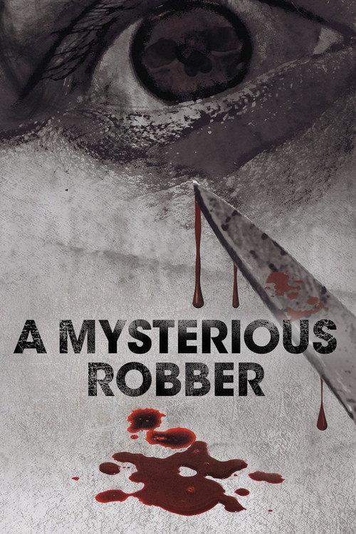 A Mysterious Robber 2012 official movie poster