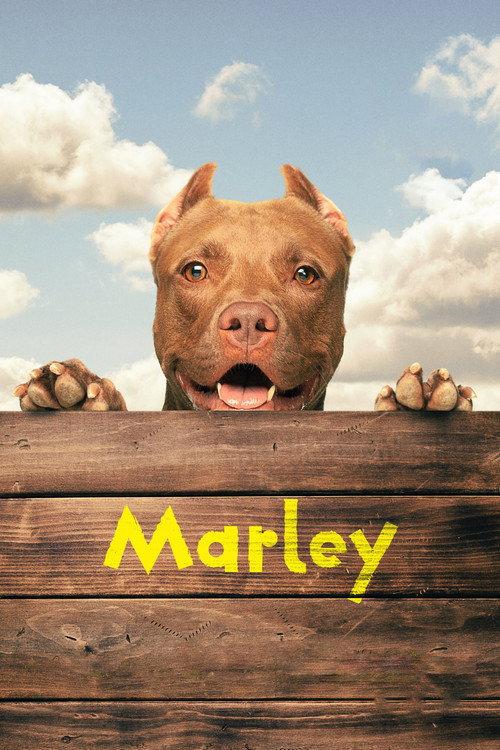Marley 2022 official movie poster