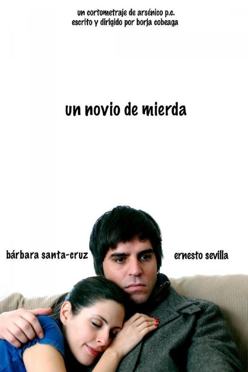 A Shitty Boyfriend 2010 official movie poster