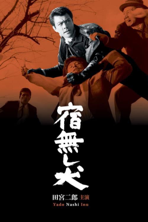 Homeless Dog 1964 official movie poster