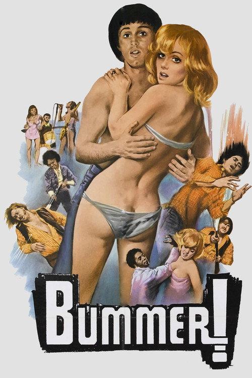 Bummer 1973 official movie poster
