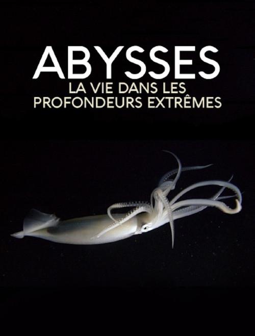 Extreme der Tiefsee - Abysses 2018 official movie poster