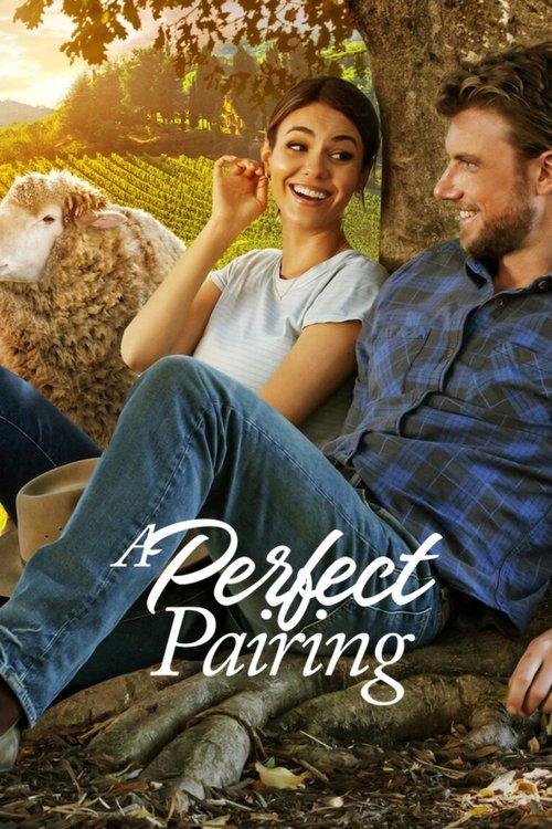A Perfect Pairing 2022 official movie poster