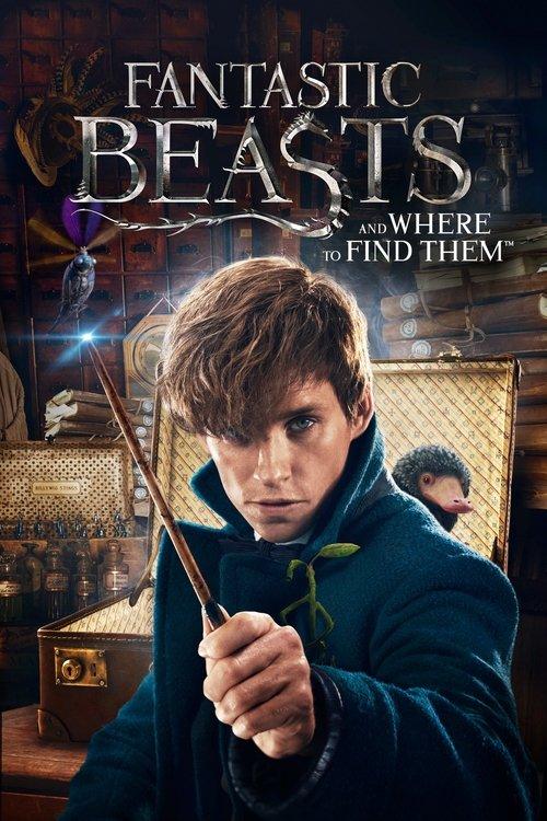Fantastic Beasts and Where to Find Them 2016 official movie poster