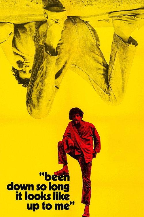 Been Down So Long It Looks Like Up to Me 1971 official movie poster
