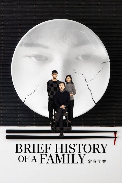 Brief History of a Family 2024 official movie poster