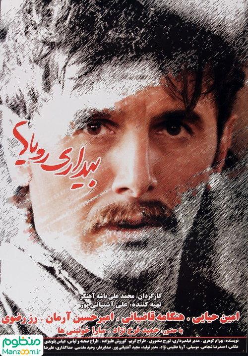 Wakefulness of Dreams 2010 official movie poster